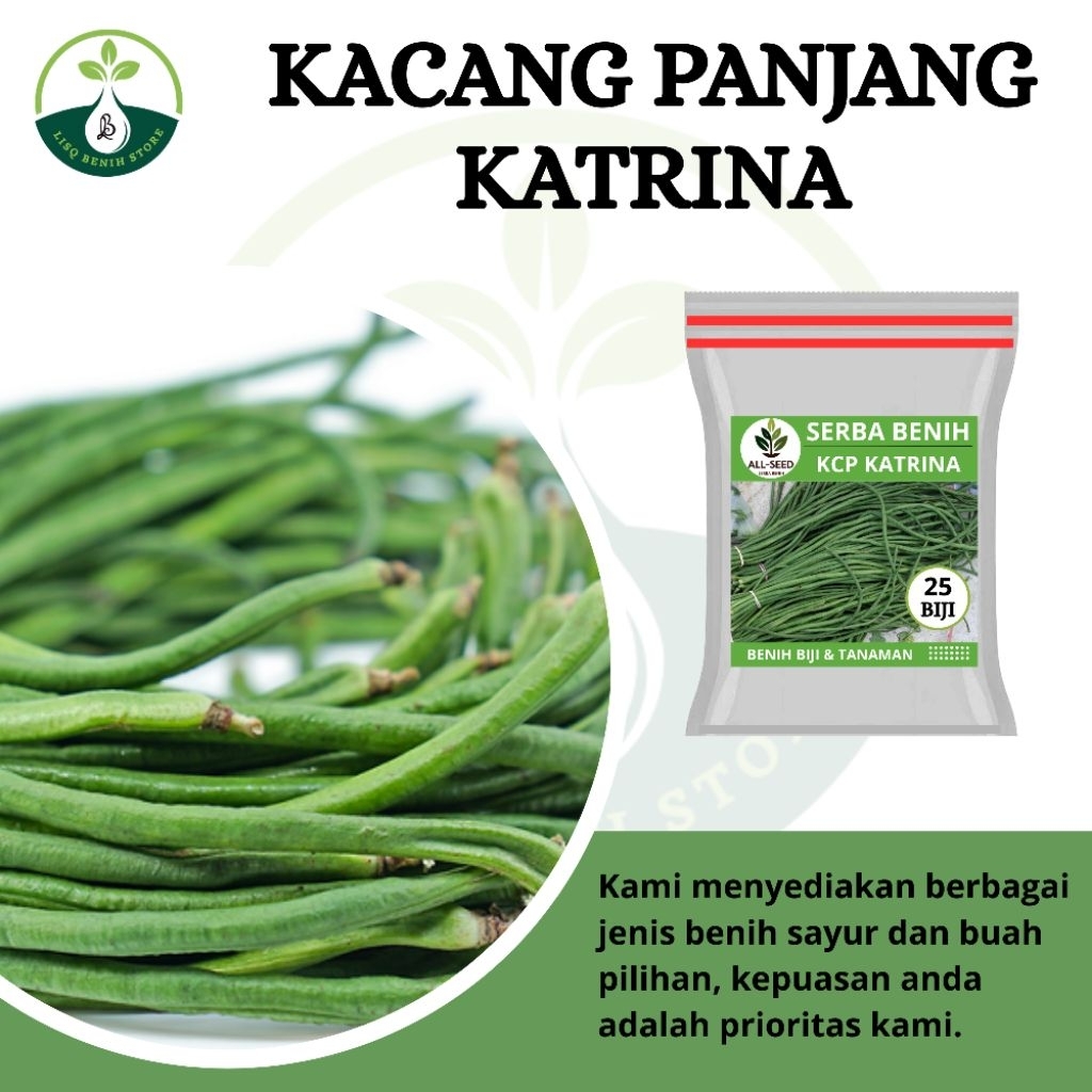 { 25 BIJI } Benih kacang panjang katrina / bibit kacang panjang / biji hitam putih / katrina