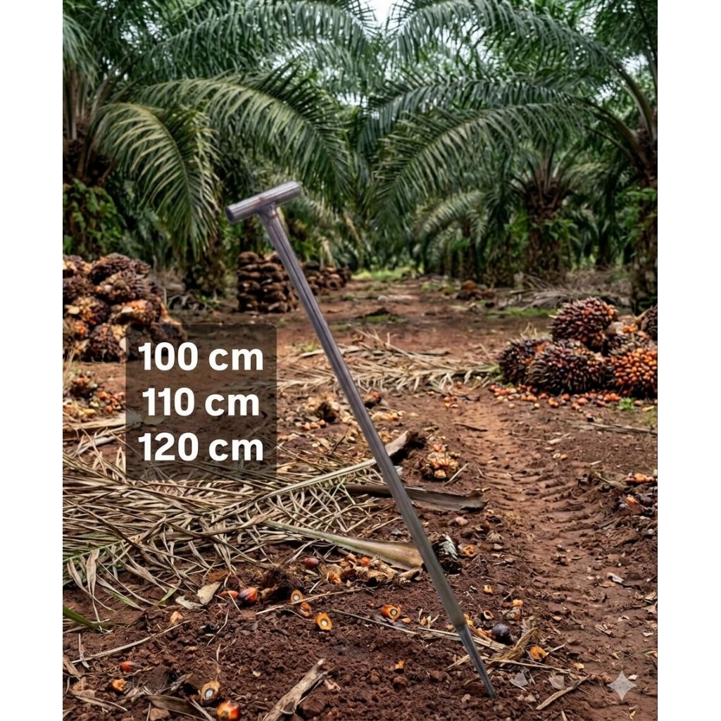 Tojok Sawit Stenlis Mata Per