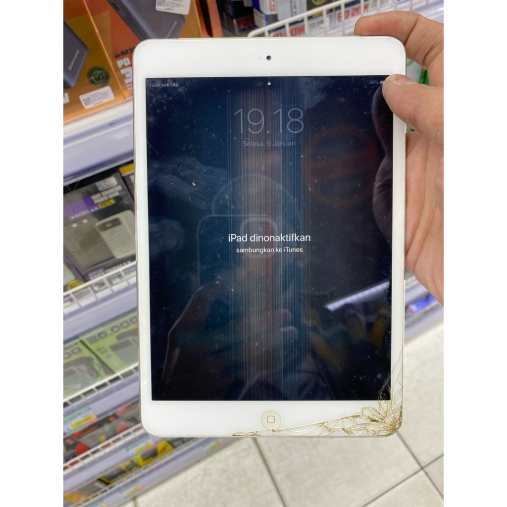 iPad Mini 2 Wifi & Cell Memori 32GB Normal Minus TS / LCD Set ex iBox