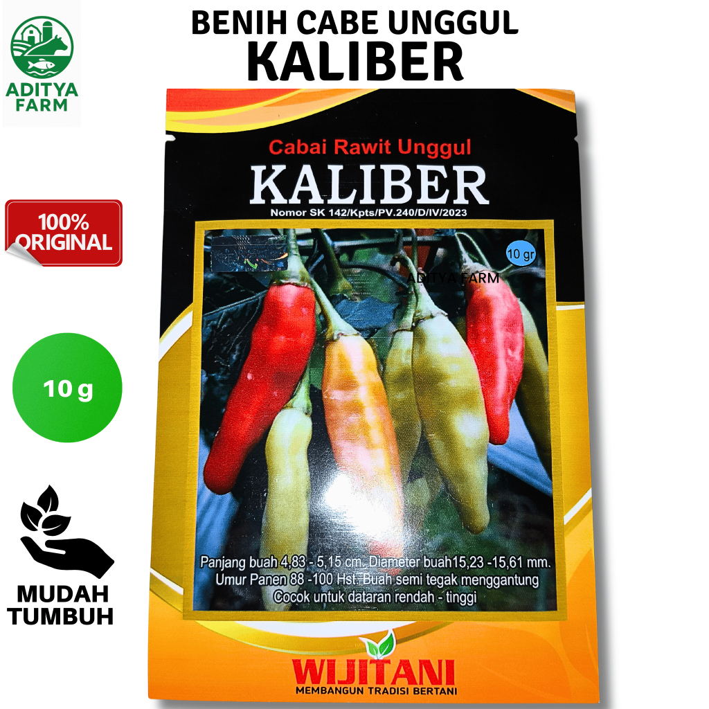 Benih Cabe Kaliber Original 10 Gram Bibit Cabai Rawit Kaliber Wijitani
