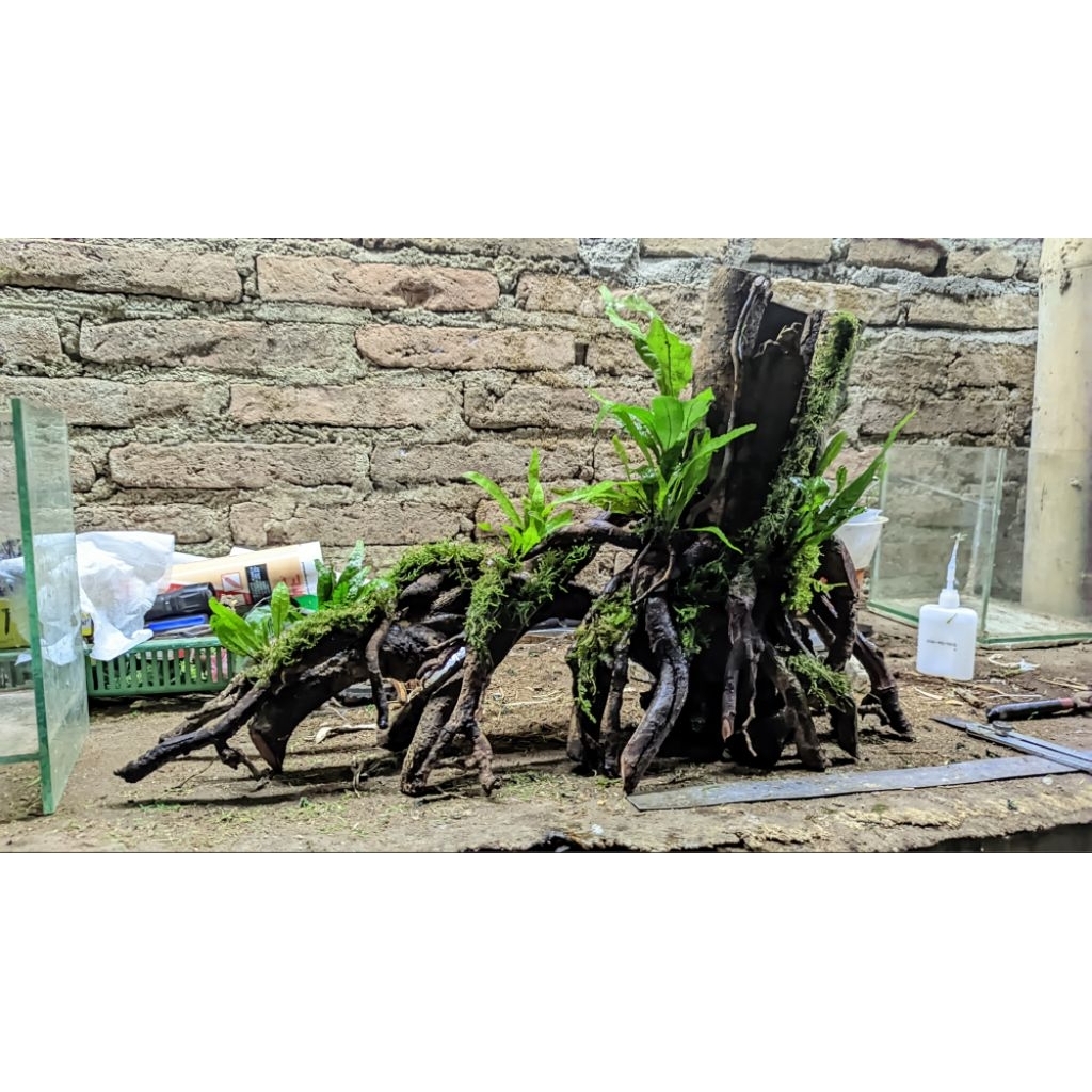 Hardscape Natural aquascaep aquarium dekorasi