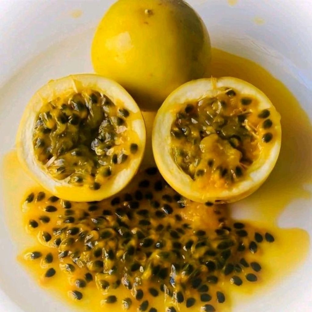 bauh markisa segr 1kg buah markisa