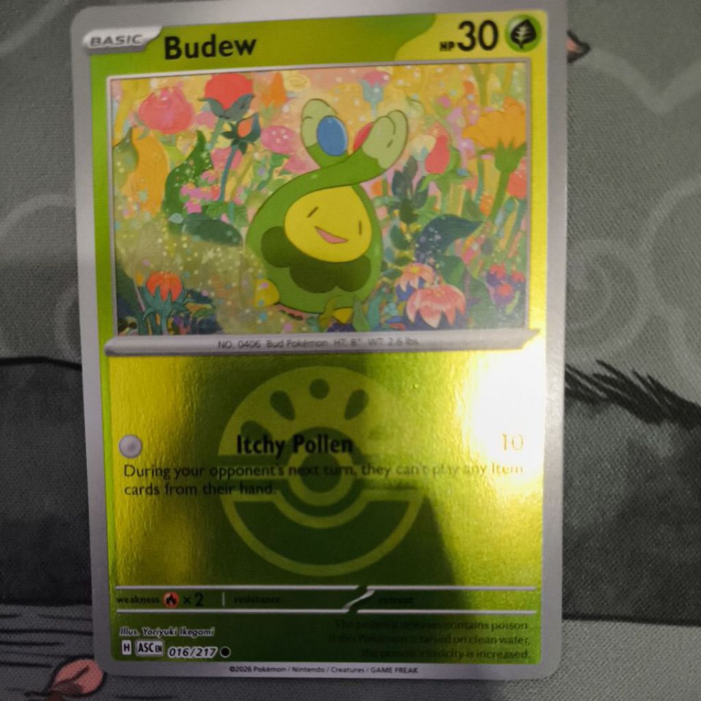 Budew 16/217 Ball
