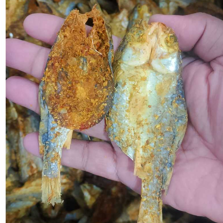 Dendeng ikan belanak kering full bumbu rasa manis gurih