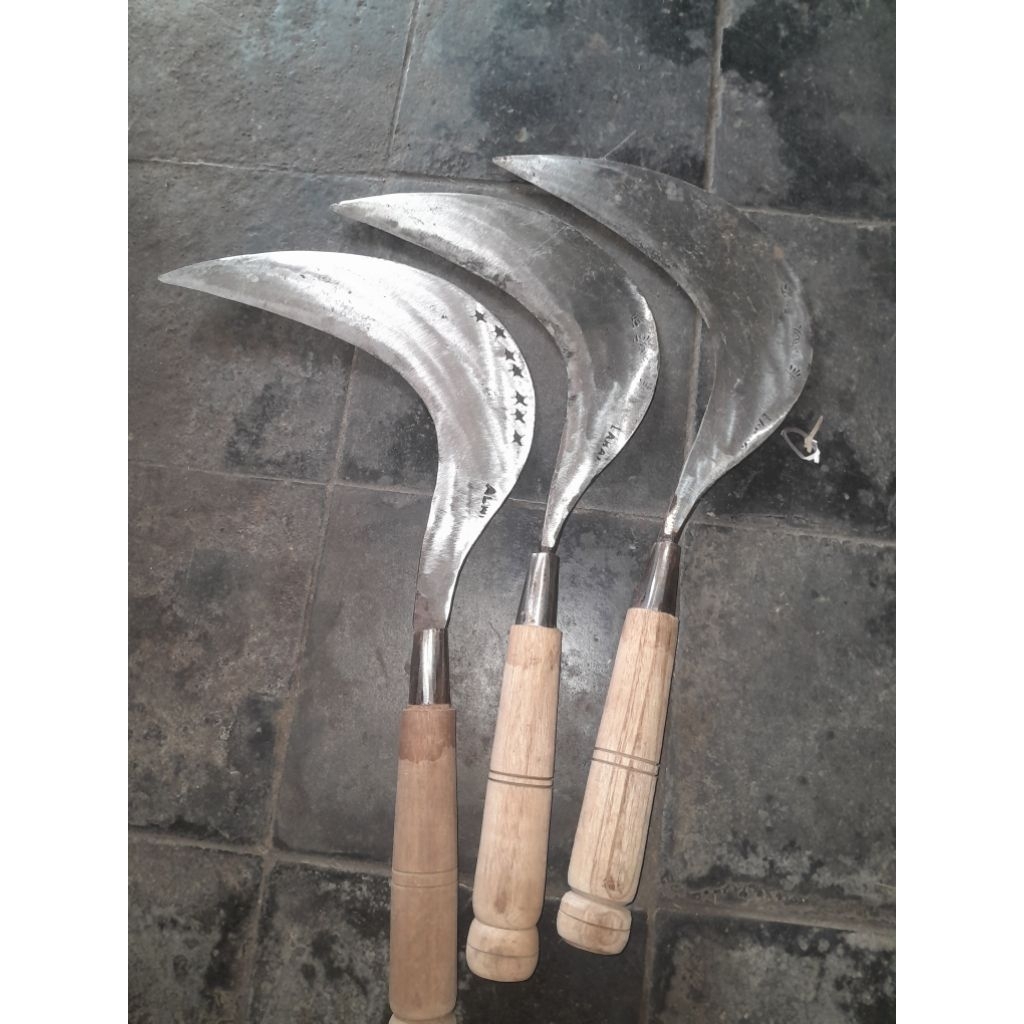 Arit Sabit Baja Putih Super Tajam - Alat Ngarit Rumput & Panen Padi Gagang Kayu Bubut