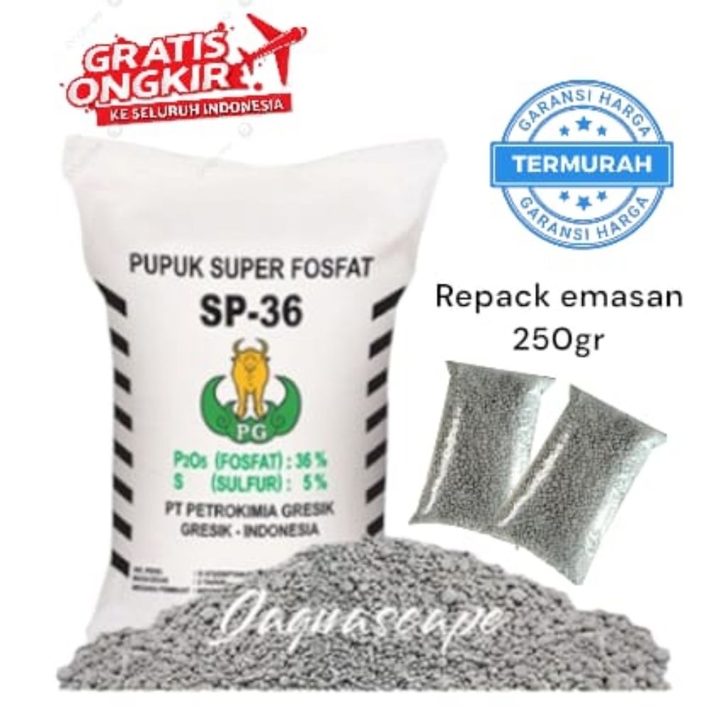 PUPUK TSP, Pupuk Super Fosfat SP 36,Pupuk TS.