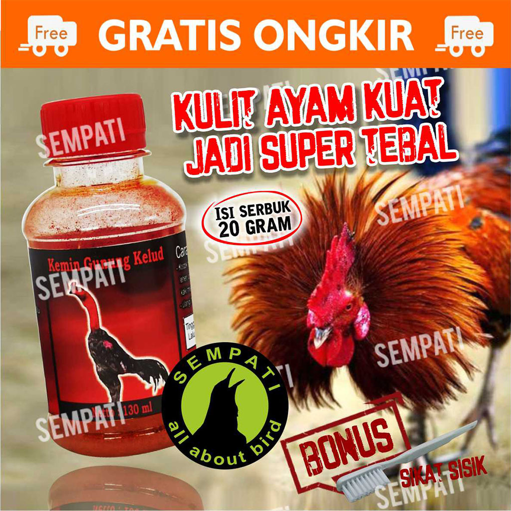 SEMPATI Ramuan Kemin Gunung Kelud Obat Gosok Oles Kaki Ayam Kulit Jadi Tebal Merah Kuat Anti Turun U
