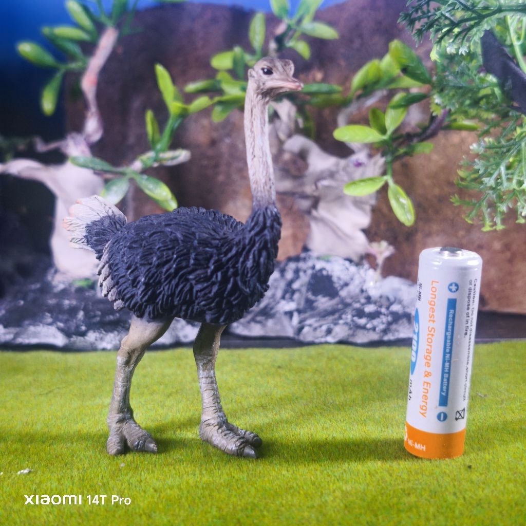 Collecta Ostrich burung unta figure
