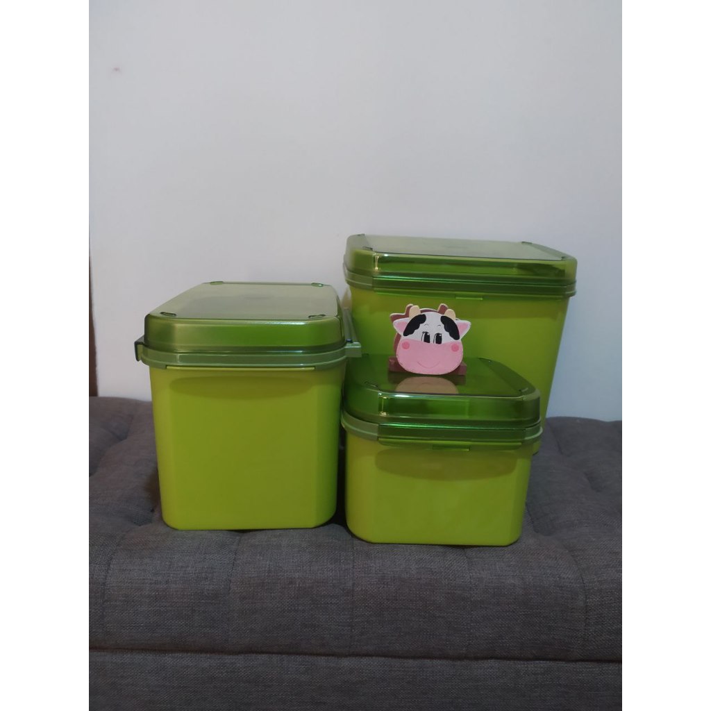 Tupperware - Ezy Keeper Square Green