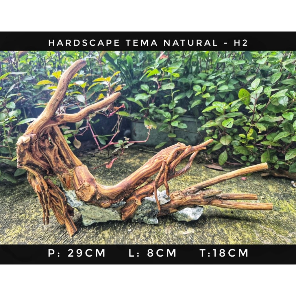 Hardscape Tema Natural - H2