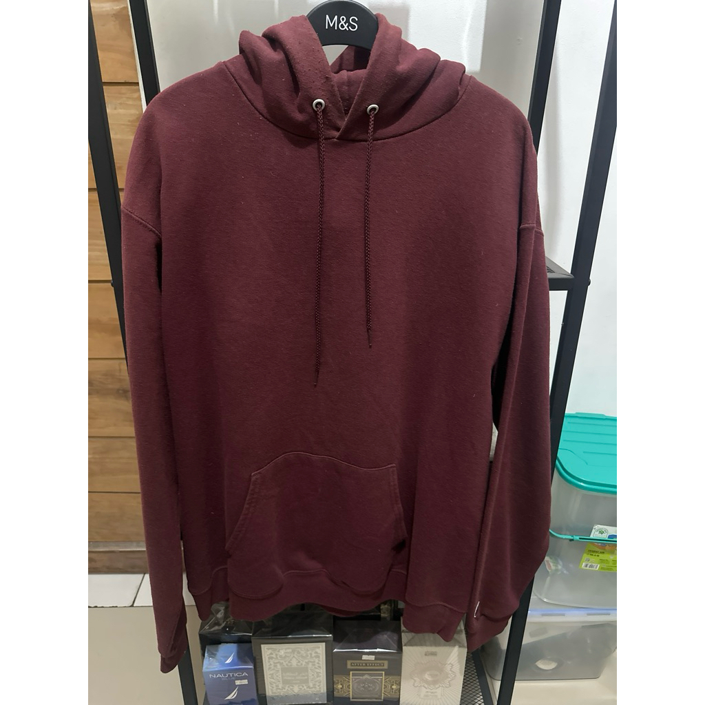 hoodie blank champion