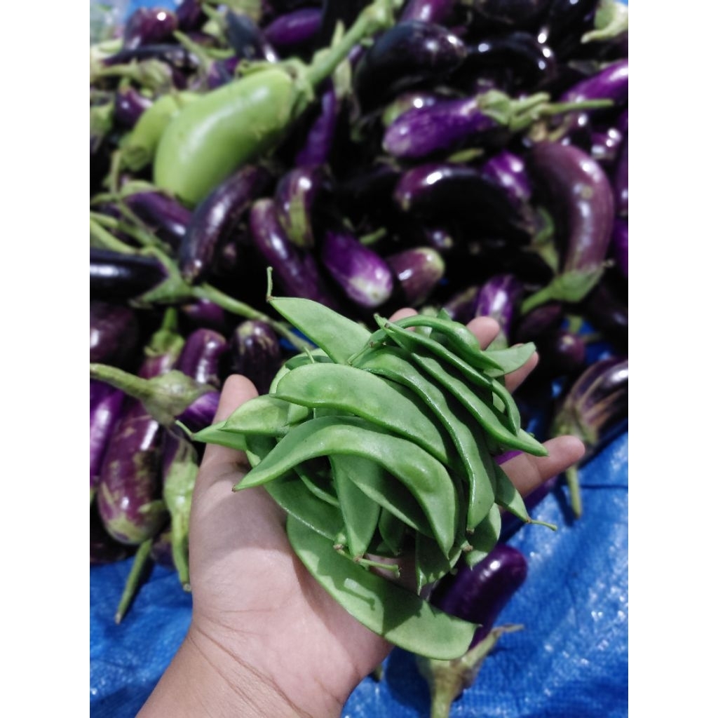 Kacang Koro Sayur (Bundling 3)