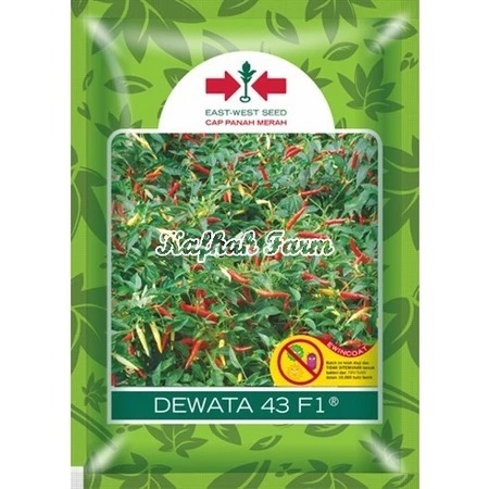 100 Biji - Benih cabe rawit DEWATA 43 F1