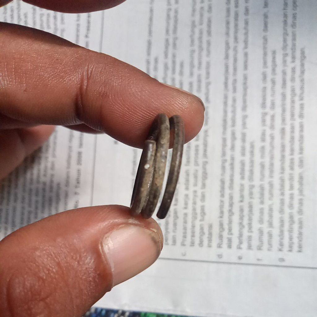 temuan cincin 02