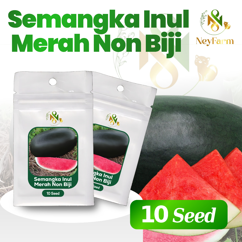5 Benih Semangka Inul Merah Non Biji Benih Buah Semangka Inul Merah