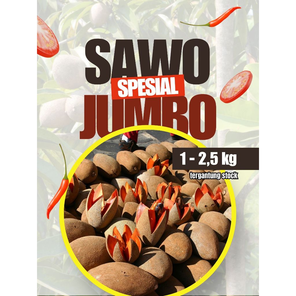 STOK TERBATAS  Buah Sawo Jumbo Meksiko, Buah Sawo Jumbo Ori