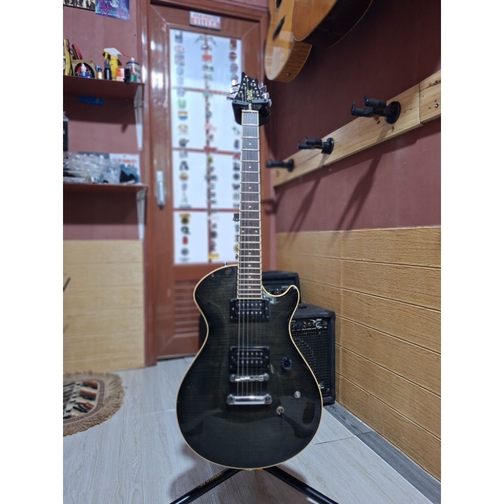 Gitar radix osiris