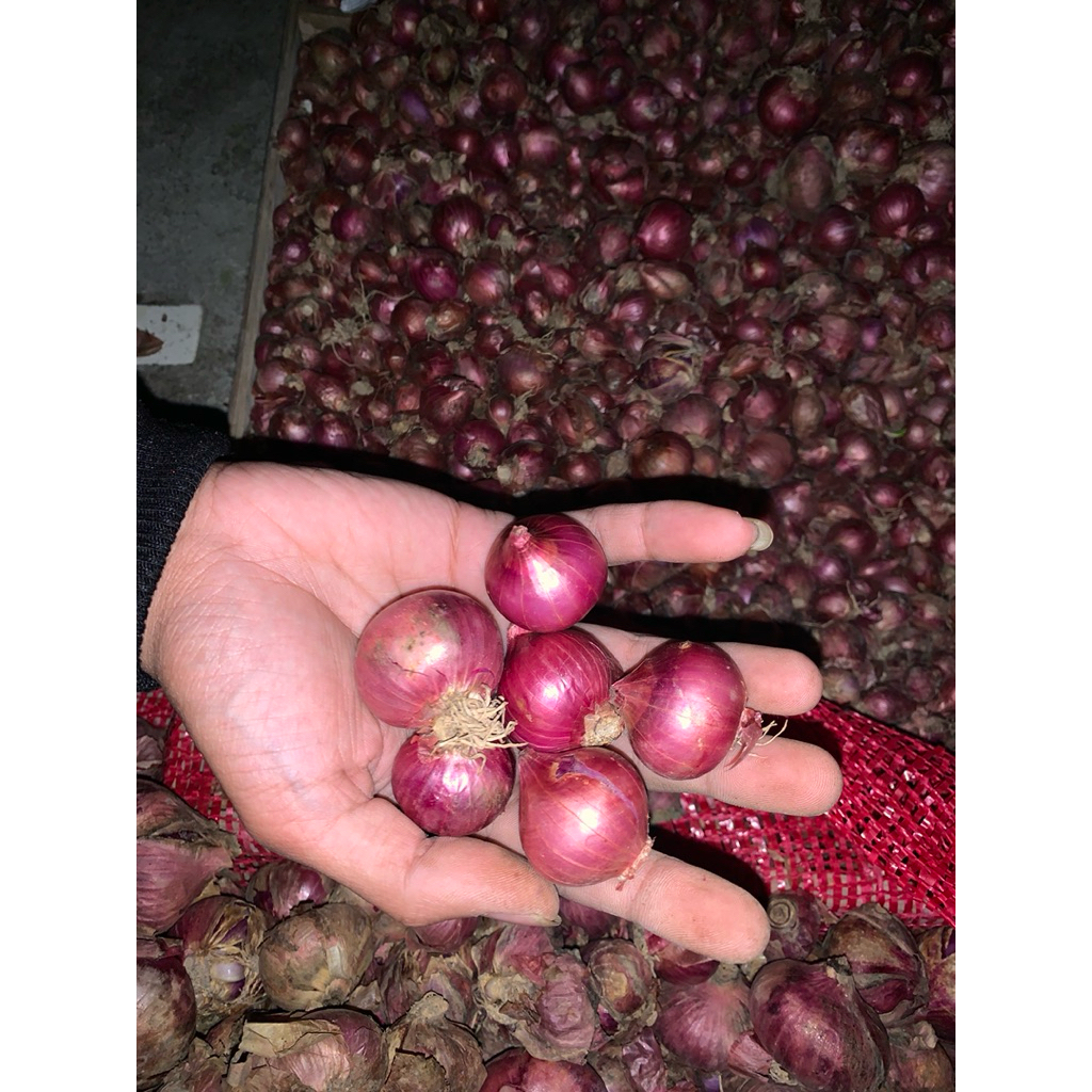 AMERTA BIBIT- paket 1kg bawang merah dari petani lokal segar sudah siap masak