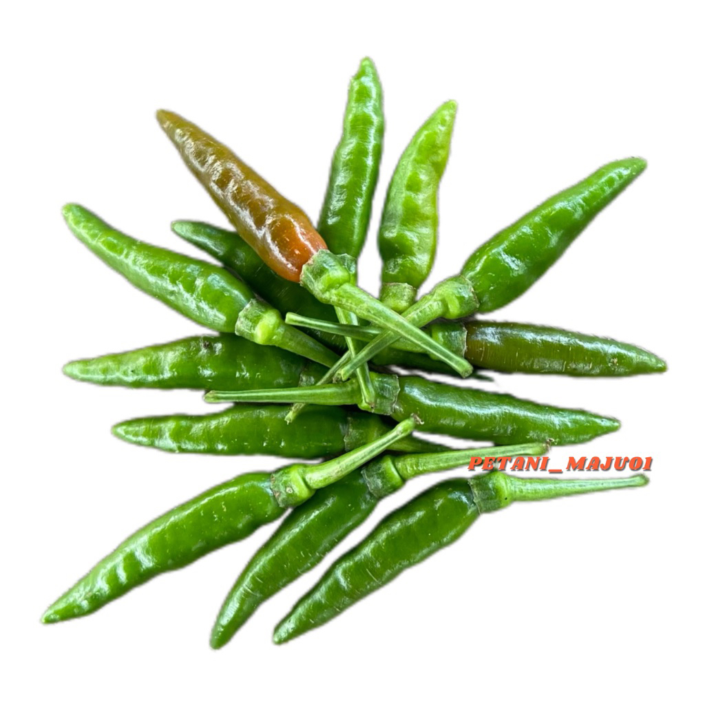 Cabe rawit hijau 1 kg