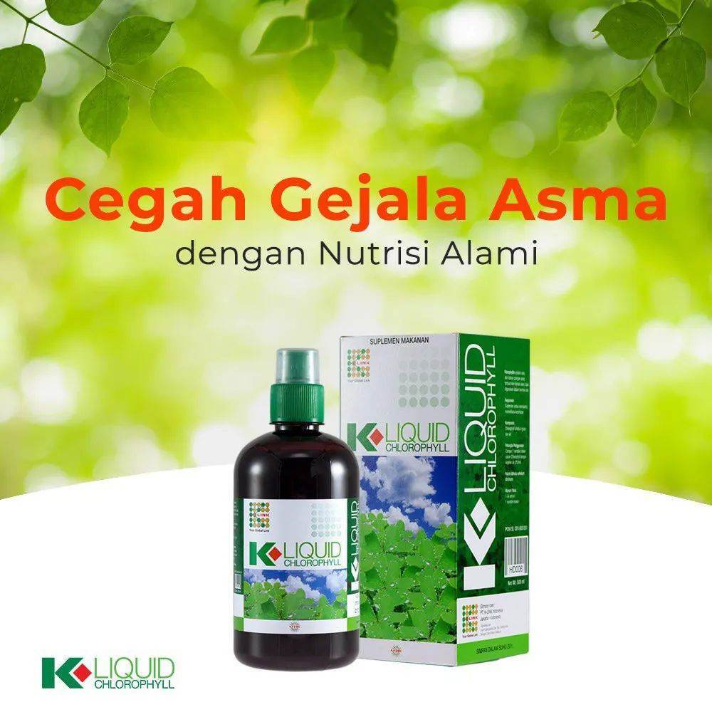 k liquid chlorophyl klorofil k link