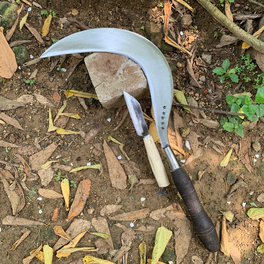 alat pertanian sabit rumput super tajam asli baja per khas Madura siap pakai