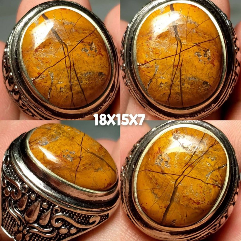 BADAR ASEM TAPAK JALAK