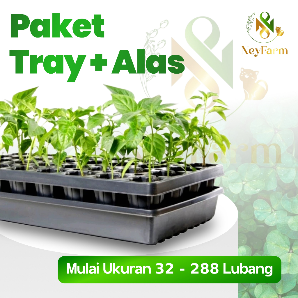 Paket Tray Semai Potray Pot Semai dan Alas Tray 32 50 72 98 105 128 162 200 288 Lubang