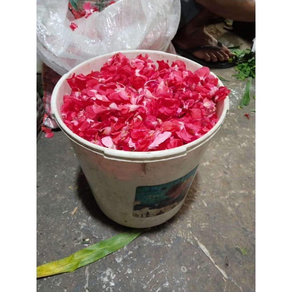 Bunga Tabur Bunga untuk Ziarah Bunga tabur makam