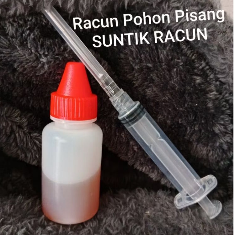 Suntik Racun Pisang 1 Paket Praktis