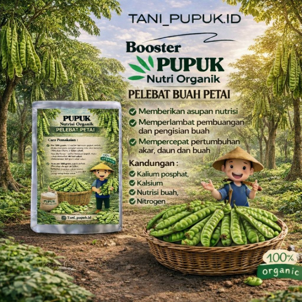 Pupuk booster petai pupuk pelebat penyubur buah petai