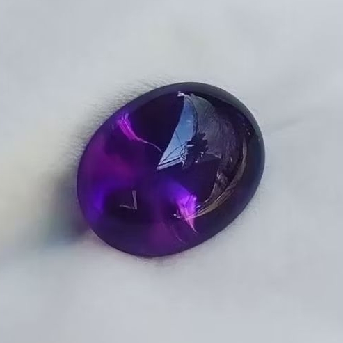 KECUBUNG UNGU ASLI KALIMANTAN, KECUBUNG UNGU BENTOL, KECUBUNG WULUNG, KECUBUNG ASIH4N