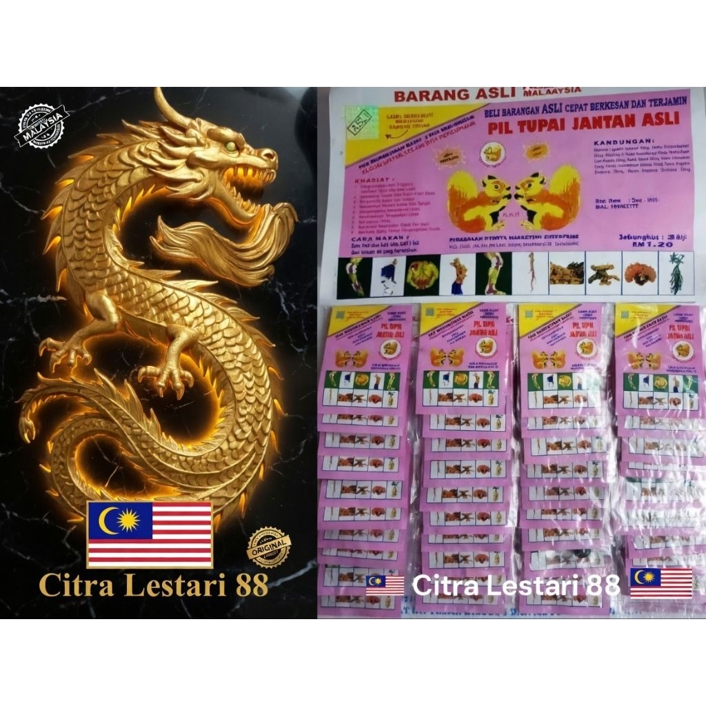 PIL TUPAI JANTAN MALAYSIA ORIGINAL