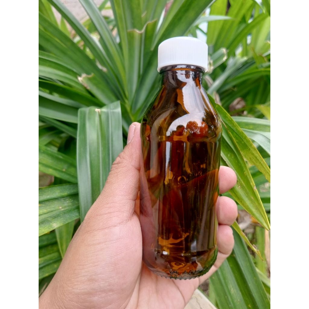botol kaca coklat 150ml / botol kaca amber 150ml