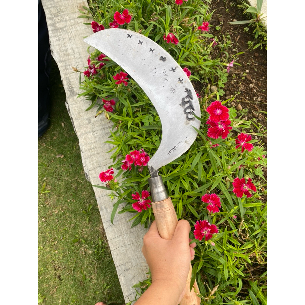 arit deres sadap kelapa baja Isen asli selap3 cap555 Wonosobo