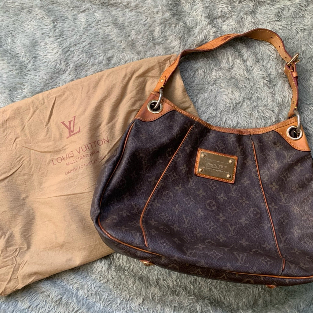 Louis Vuitton Monogram Galleria LV Bag