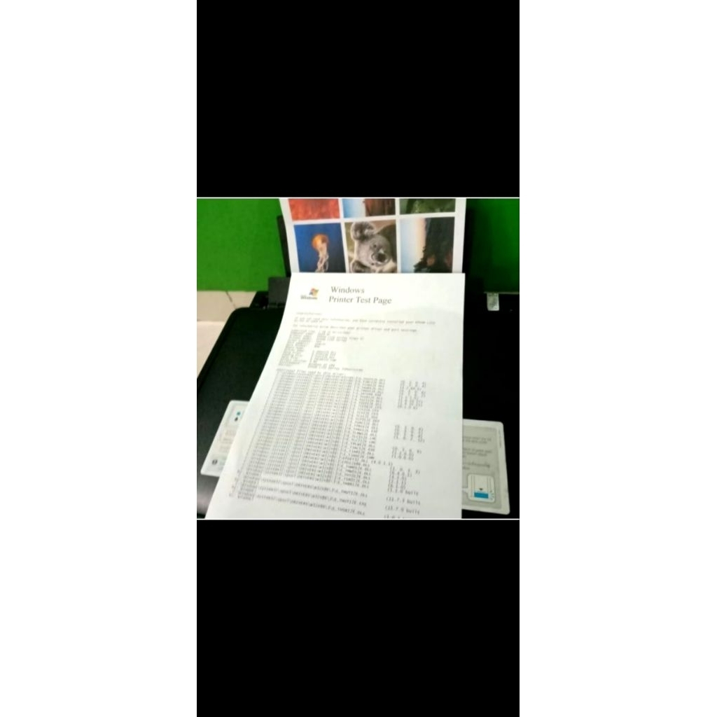 Printer epson L210 print scan copy