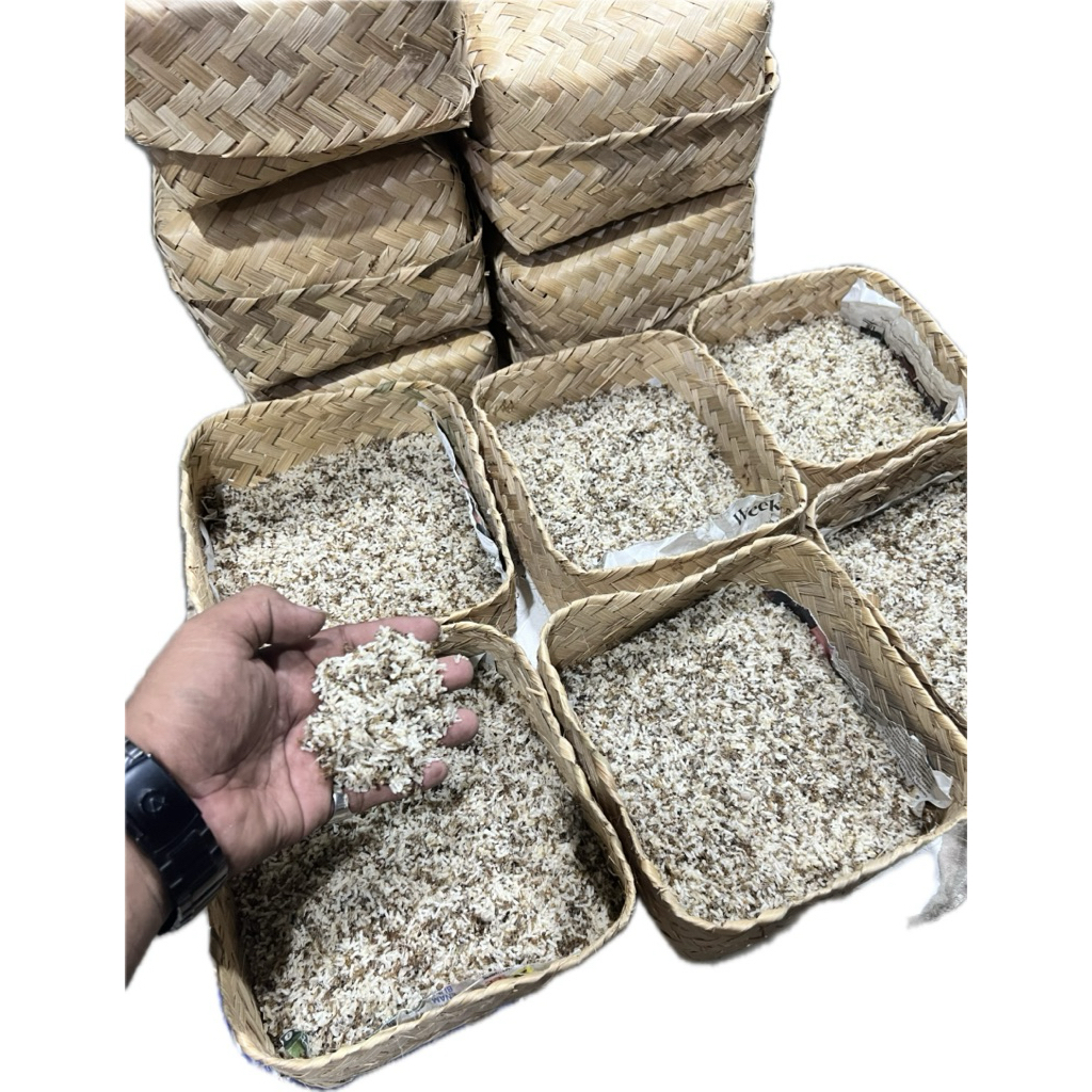 kroto segar untuk burung/ umpan pancing