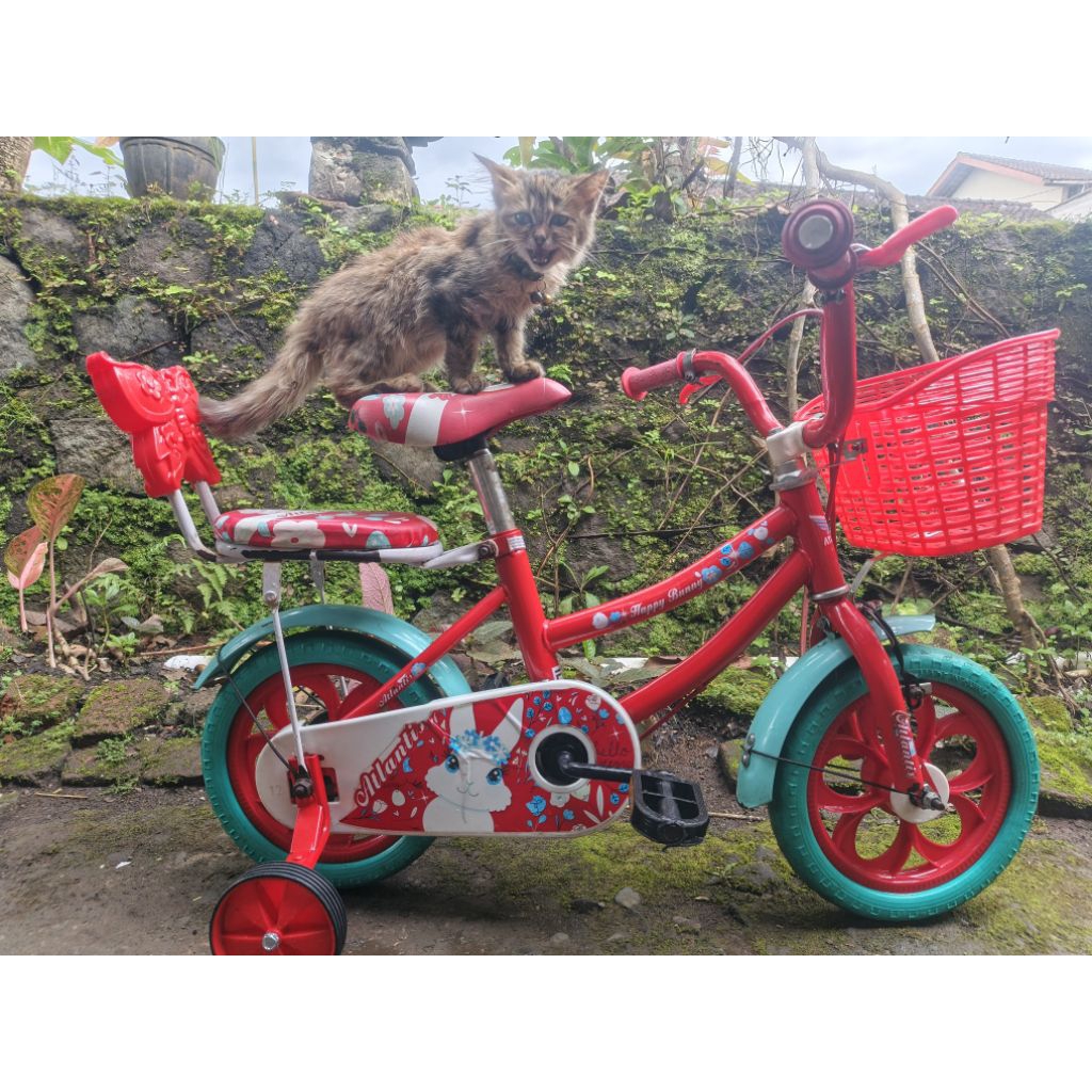 sepeda anak mini ring 12 second mulus bekas preloved