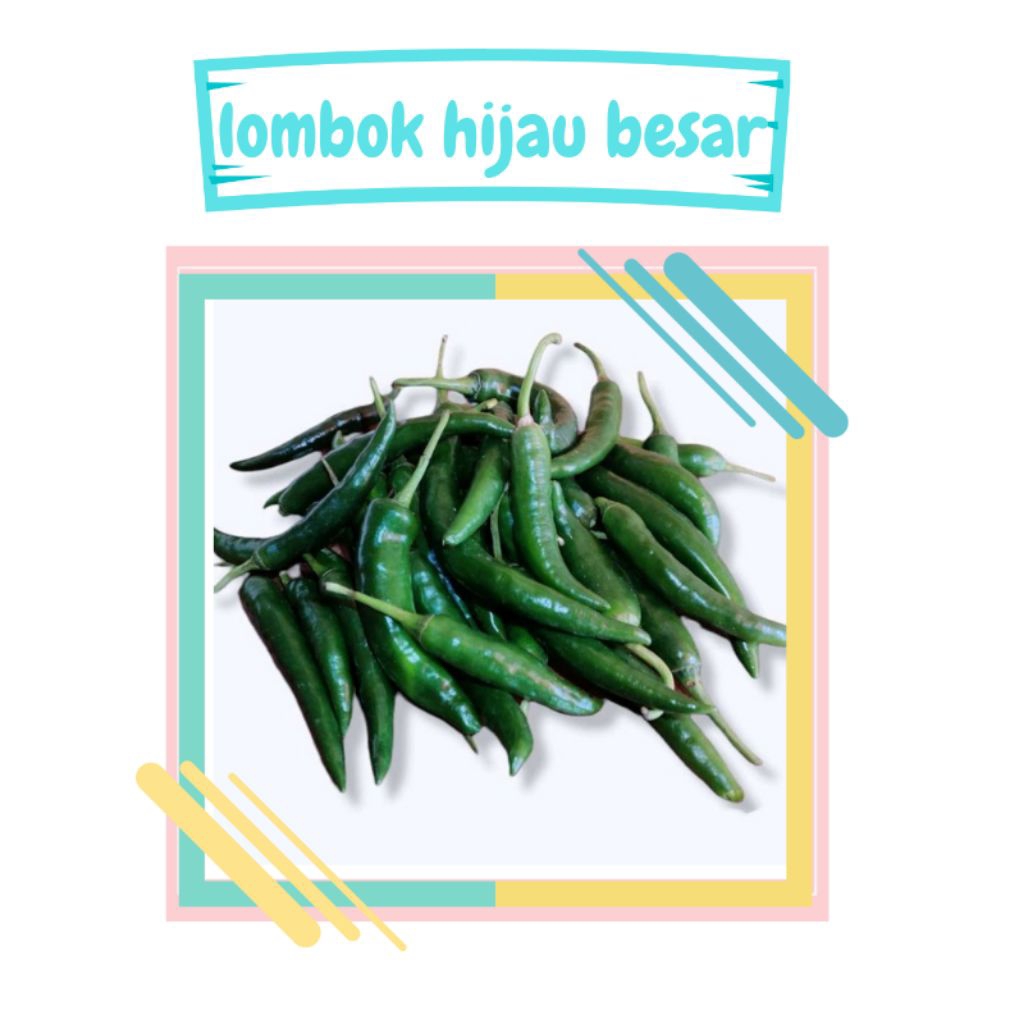 Lombok hijau besar