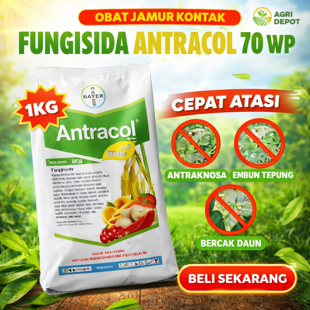 Fungisida Antracol 70 WP Pengendali Jamur Tanaman Sayur Buah Perkebunan