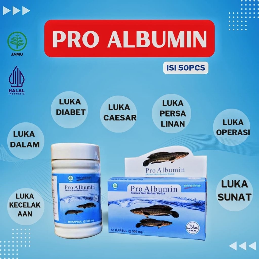 KAPSUL IKAN GABUS KUTUK / PRO ALBUMIN ORIGINAL