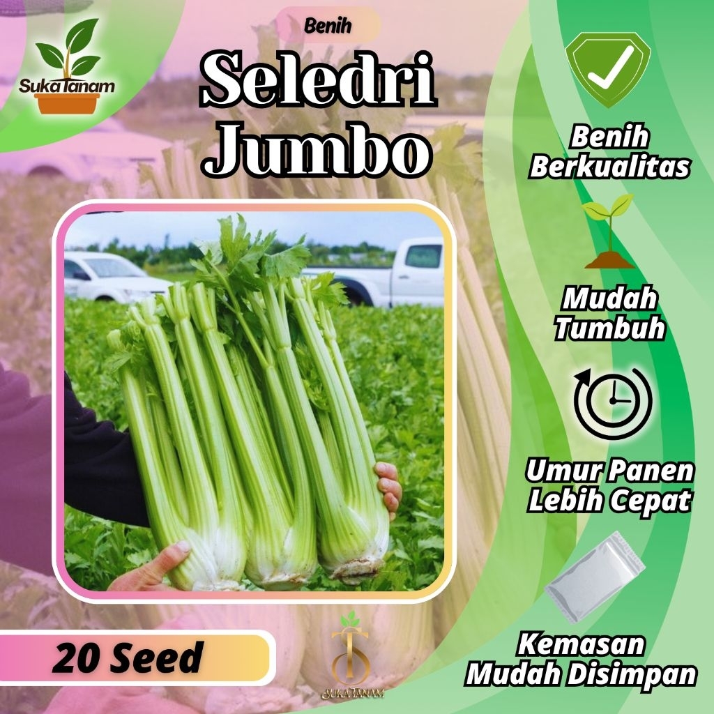 Benih Seribuan Suka Tanam - Benih Seledri Jumbo (20butir)