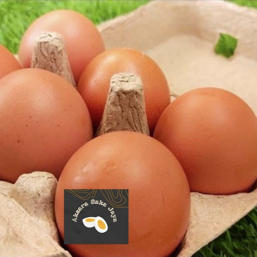 TRAY PAPER EGG ISI 6 LUBANG / BOX KARTON 50 PCS