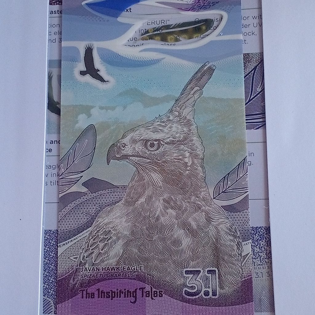 TESTNOTE 3.1 Elang Jawa