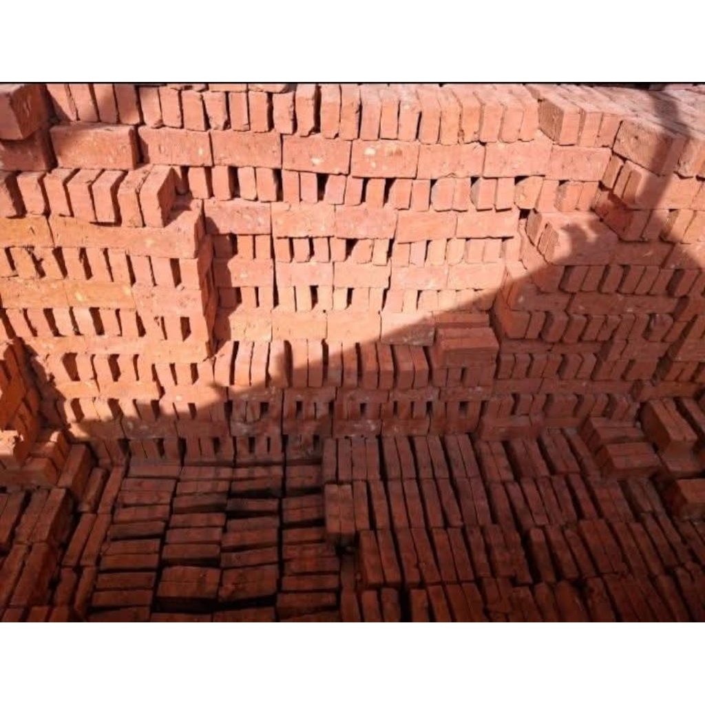 Bata merah jumbo super