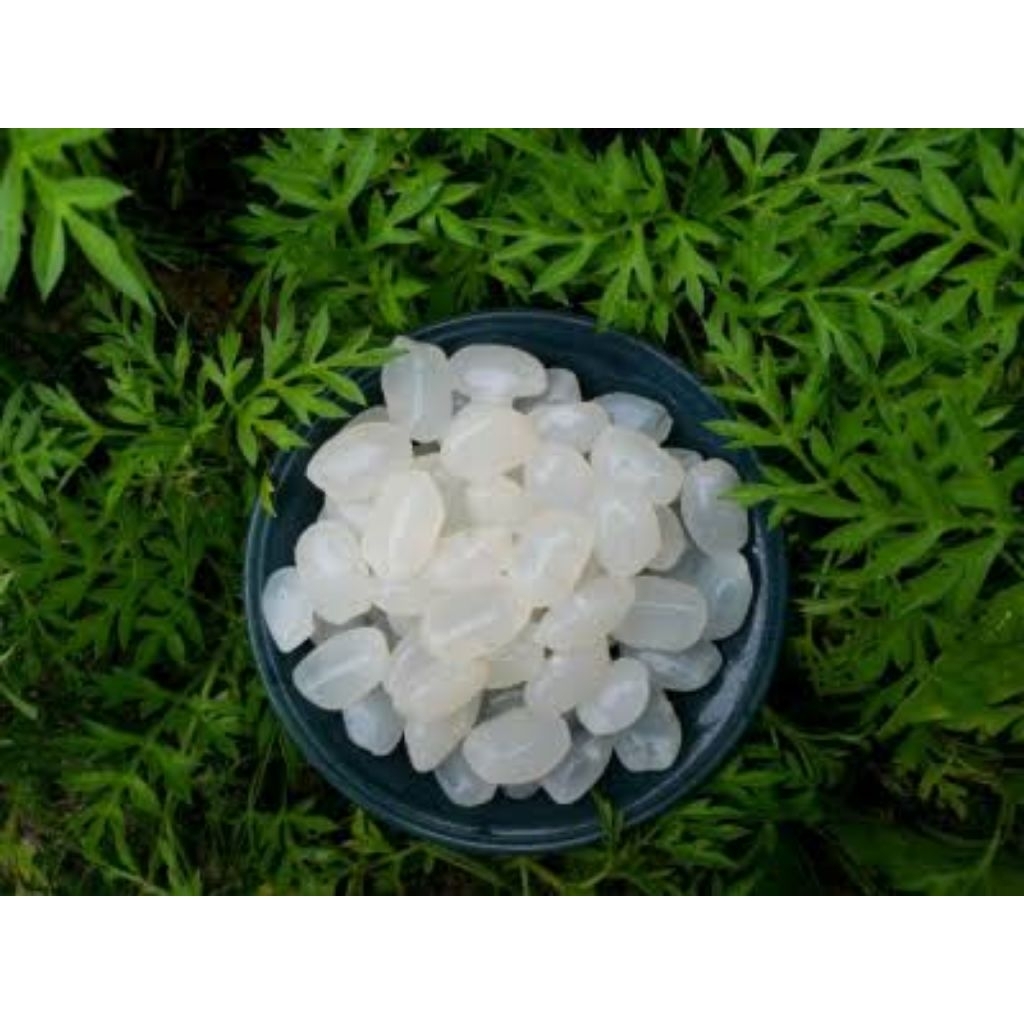 kolang Kaling 1kg fresh berkualitas kolang Kaling kolang Kaling 1 kg kolang Kaling super fresh bahan
