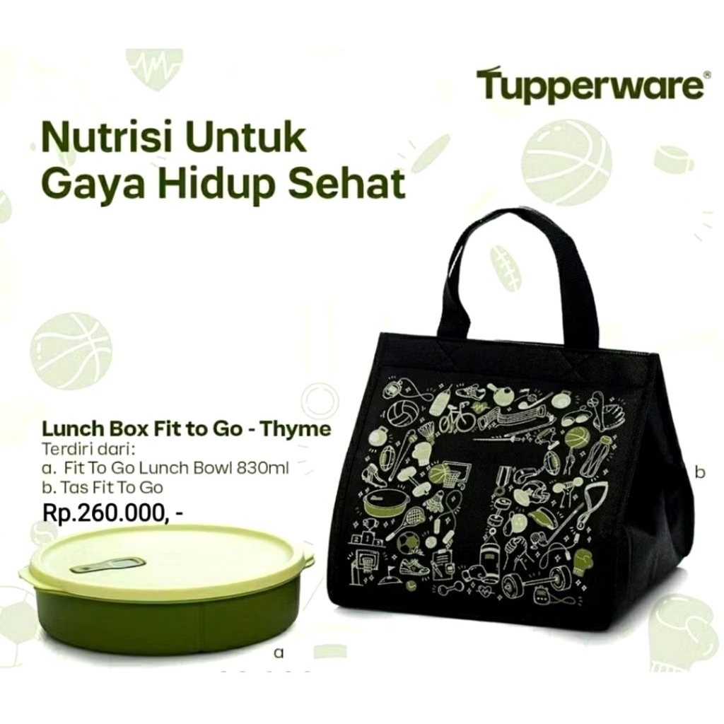 fit to go tempat bekal tupperware