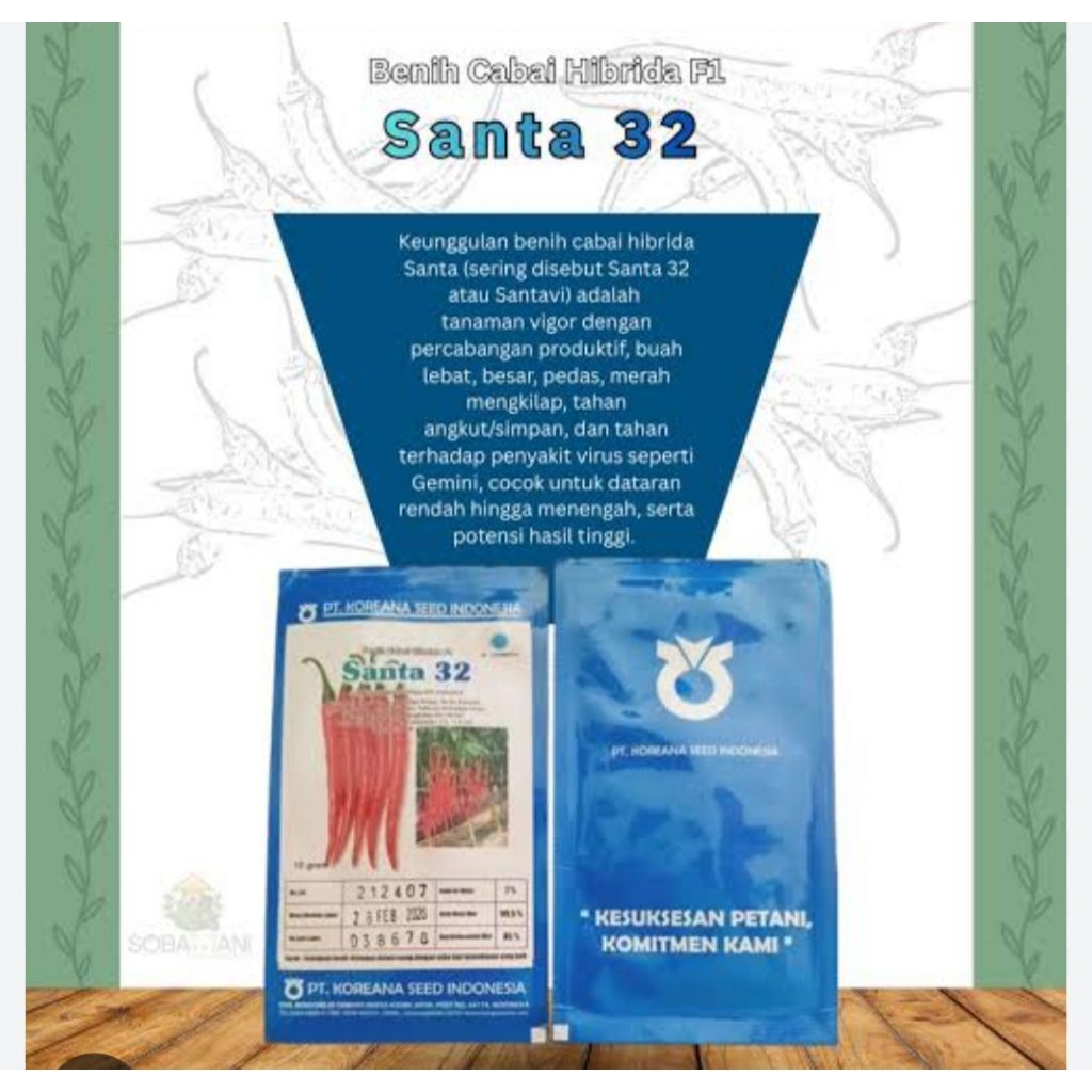 benih cabe hibrida SANTA32 F1 10 gram