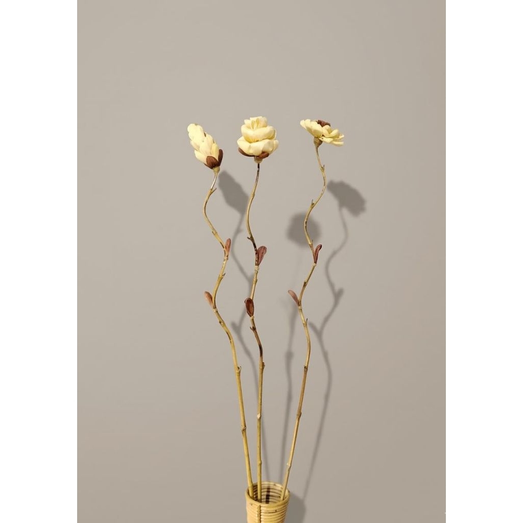 STICK ULIR KLOBOT JAGUNG premium kualiti Dekorasi Bunga kering KLOBOT