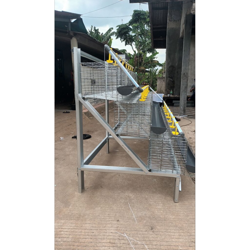 kandang ayam petelur galvanis sekala rumahan